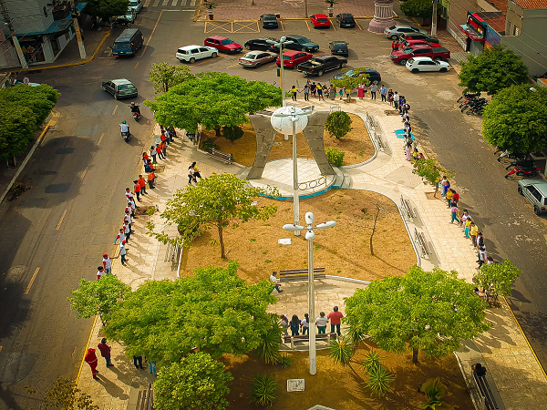 Prefeitura de Milagres promove ação especial em comemoração ao Dia da Árvore