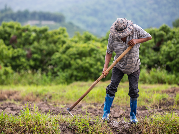 Garantia Safra é pago para mais 800 agricultores de Milagres